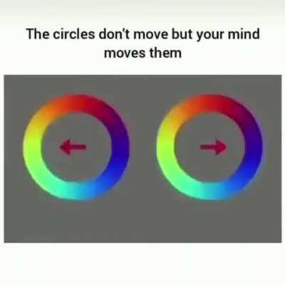 The circles don’t move but your brain moves them 🤯