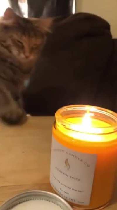 Beware the almighty scented candles