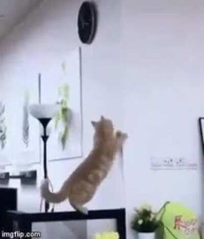 To climb