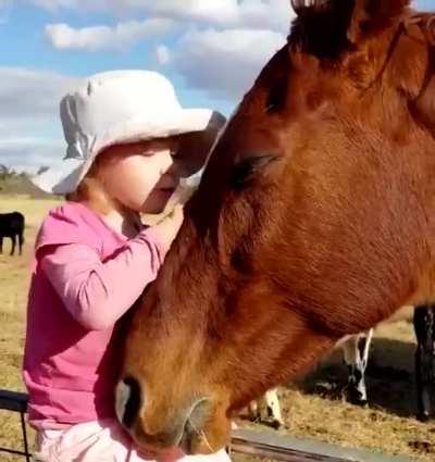 The little horse whisperer