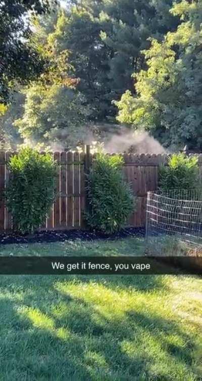 Fence these days. Completely out of hand