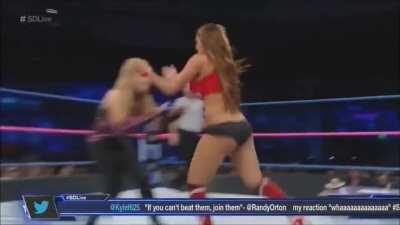 Nikki Bella kicks Natalya in the crotch