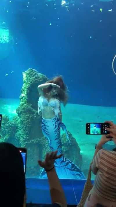 Real life mermaid in Farglory Ocean Park, Hualien, Taiwan