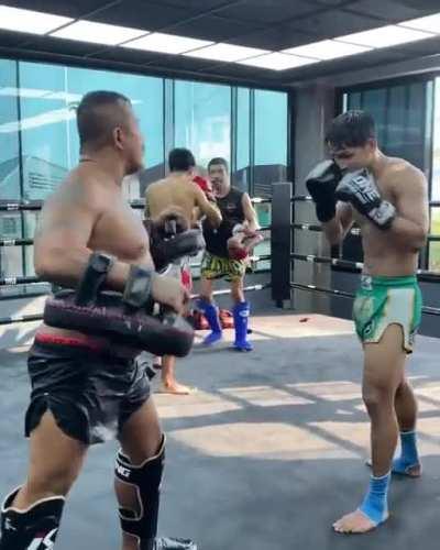 Superbon Padwork with Trainer Gae