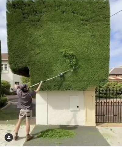 Trimming the hedge