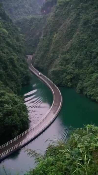 This Floating Bridge