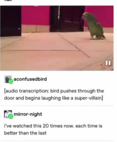 birb