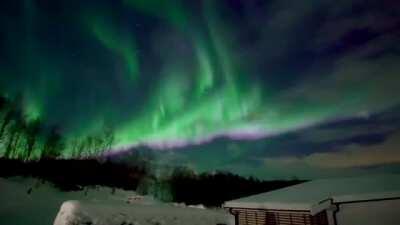 🔥 Northern Lights in Senja, Norway 🔥