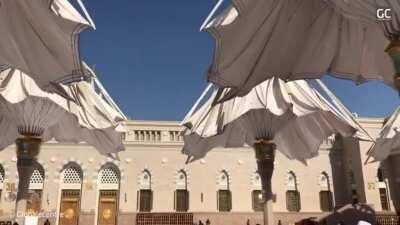 The umbrellas in The Prophet’s Mosque.