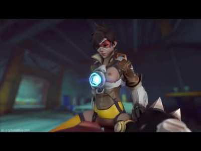 [F/M] Tracer takin Hog