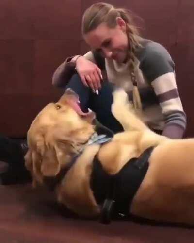 An emotional assistance dog practicing with the owner that he is not alone.