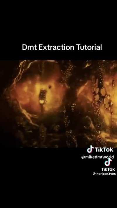 Hey legends, is this video fairly accurate on how to extract your own deemz? (delete if not allowed please) 🙏