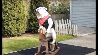 Bulldog of Rohan