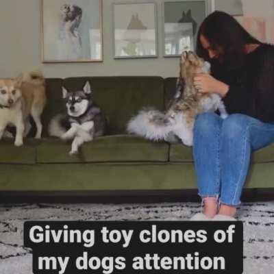 Dog Gets Jealous When Mommy Gives Toy Dogs More Attention! 🤣🤣🤣