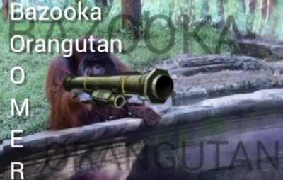 In response to sniper monkey