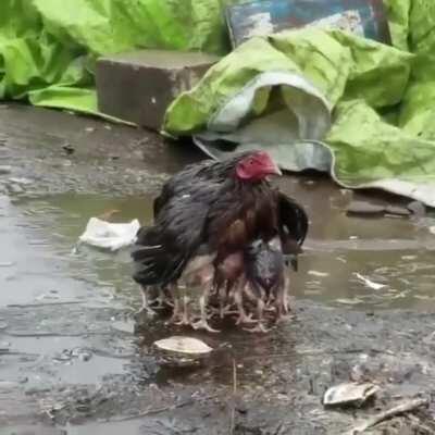 🔥 Shielding kids from rain 🔥