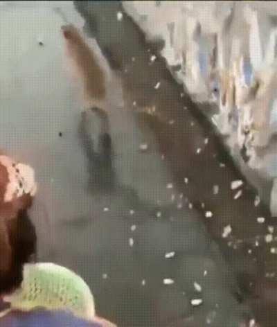 Giving food to the monkey