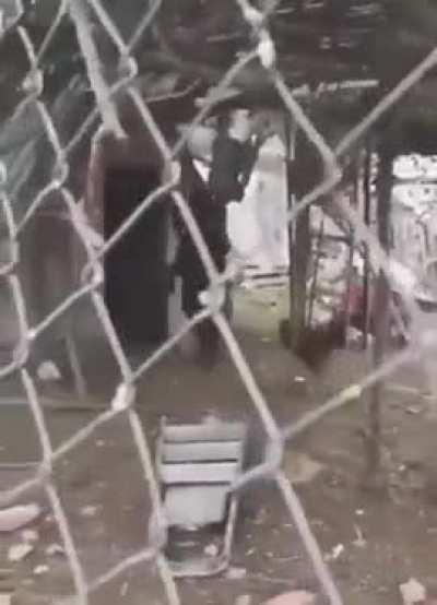 A goat walking on its hind legs leads a hen into a shed