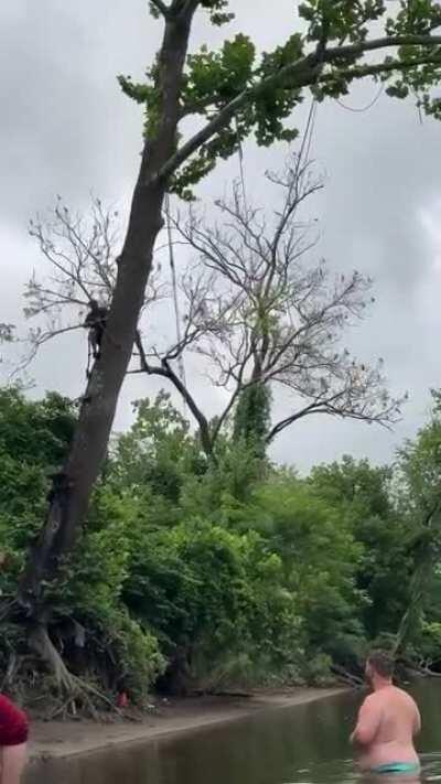 HMFT after Ronald tries to swing from the highest point of a tree