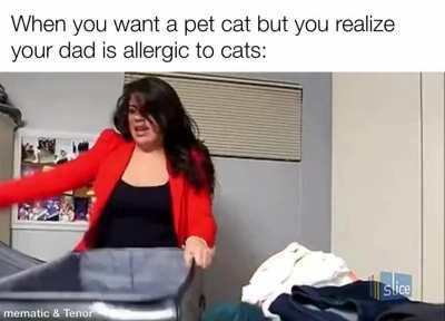 Why must you be allergic to cats dad