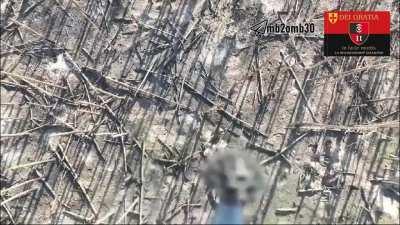 Drone drops from the UKR Aerial Reconnaissance Battalion