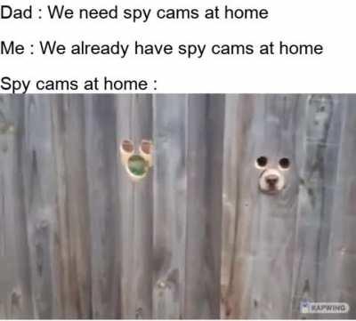 Sharp spies