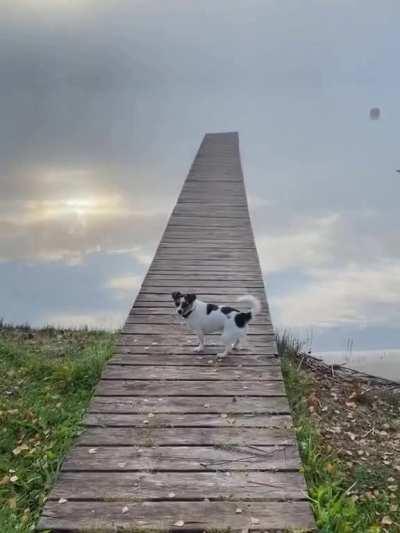 Ladder to the sky in Latvia