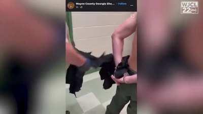 Georgia jail officials cut off correction officer's uniform and send him off in handcuffs, after he's caught smuggling contraband to inmates.