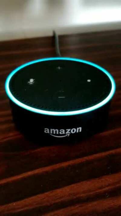 My wife recently found the Alexa reminder feature.