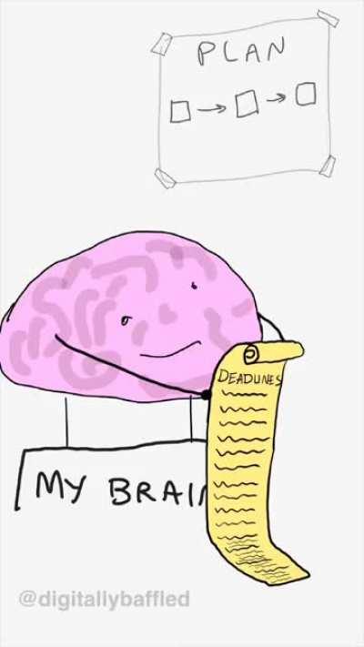 The &quot;Brain and Me&quot; adventures continue