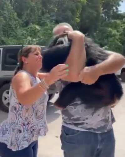 This chimp was born with broken ribs, had pneumonia and was abandoned by his own mother. This couple raised him and showed him love. This is how he reacts whenever he sees them now!