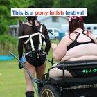 You ever see a pony fetish festival?