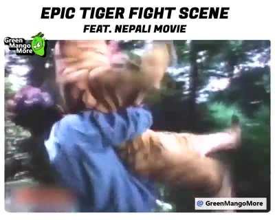 World : Tigers are Dangerous. *Le Bollywood : Hold My Tiger.