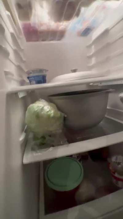 Woman laughing at the lid in the fridge