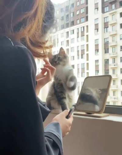 Cat makes it clear she wants some makeup