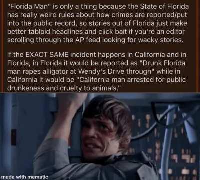 Craziest Florida Man Headlines: The Reason for the Meme's