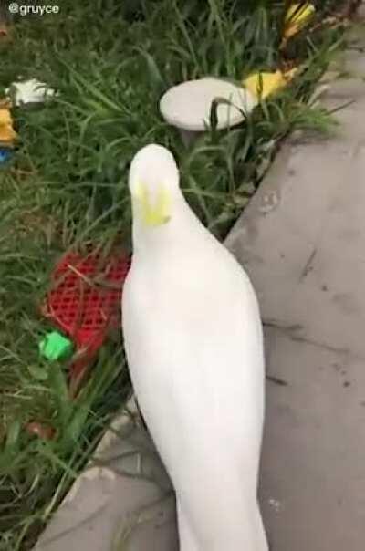 Angry boye gets stolen