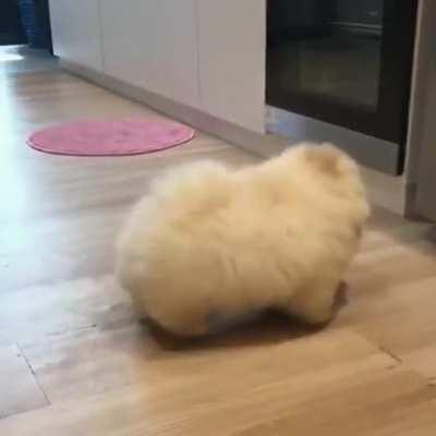 This little fluffy potato checking to see if the cooking's done