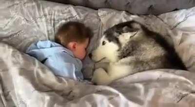 Doggo refuses to leave bed, then proceeds to fall asleep while looking after the baby 👶🏻🐶