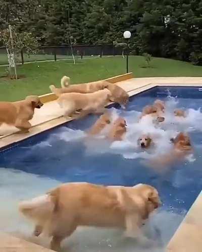 A pool full of gold