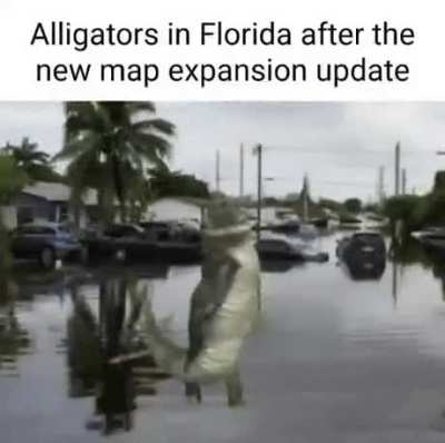 See you later, Aligator.