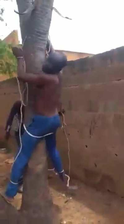 Man gets flogged by his fellow villagers while bound to a tree. Allegedly, he was the village chief who embezzled money that was meant to pay for new wells