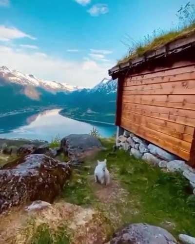 Evening walks in Norway