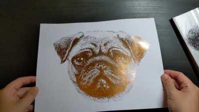 Foil reveal of my pet portrait of a pug