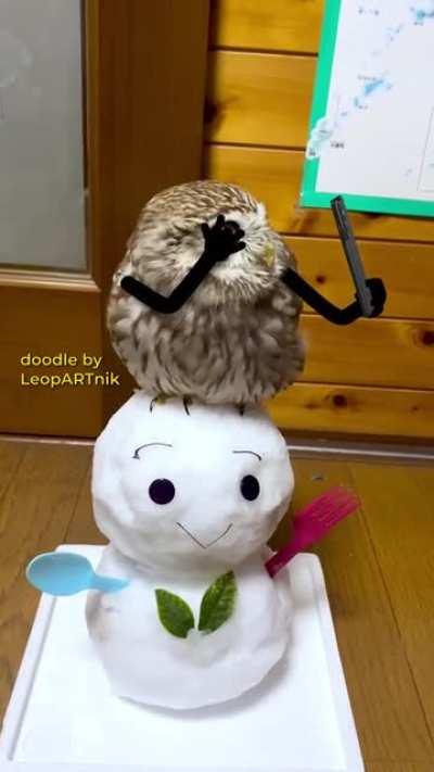 Look at that owl