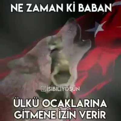 Götün kaşınmıştır