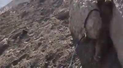 Men being bros save horse stuck upside down in rocks