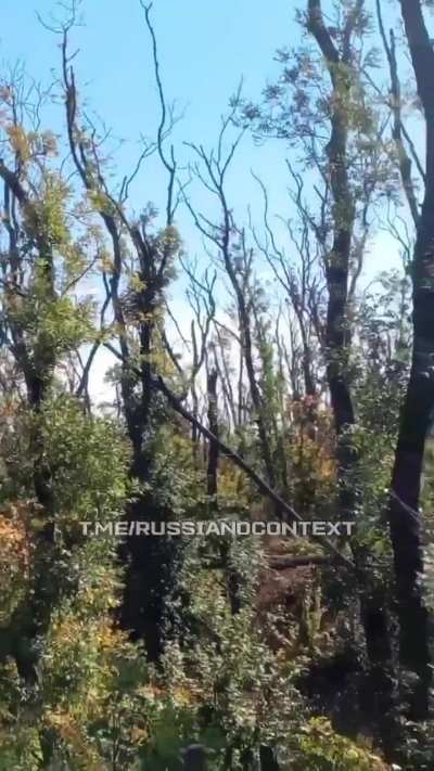 A Russian soldier captures footage of a Ukrainian &quot;Dragon&quot; drone in action at close range. 
The drone's strike results in the destruction of positions and the death of three servicemen.