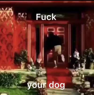 Annoying ass dog