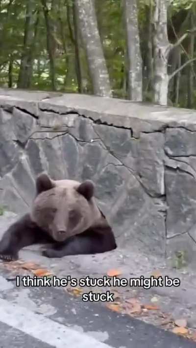 To Play the Good Samaritan Bear.